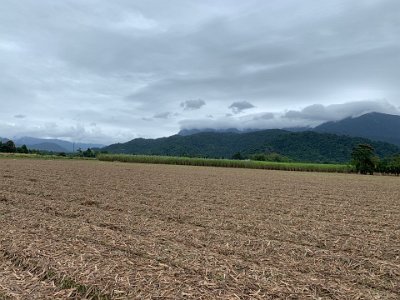 This field has been harvested and is ready for the cuttings to be plowed back in. The previous graphic explained how the mountains wore away over millions of years leaving the granite peaks exposed. Where did all of that gravel, sand and silt go? Answer: here in these lush, fertile plains that occupy the space between the mountains.