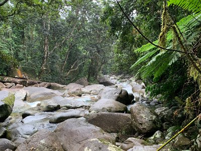 Rain is falling and the river tumbles over the granite boulders.