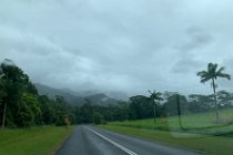 This high grade road was built specifically to take tourists to the boulders and falls. The drive is incredibly lush and green with mist covered mountains providing a spectacular backdrop.  We're very lucky that rain has started again.