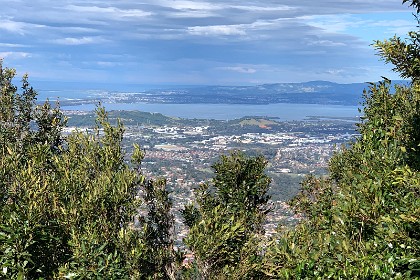 Tuesday 26 July 2022 Lake Illawarra.  "Lake Illawarra is located between the Illawarra Escarpment and the Pacific Ocean on the NSW South Coast some 90 kilometres south of Sydney. Water flowing into it is both fresh (from the escarpment) and salty (from ocean tides). The Lake is approximately 9.5 kilometres long and 5.5 kilometres wide, with an area of 33 square kilometres and a maximum depth of 3.7 metres. 13 boat ramps surround the lake and is a popular recreational location. The lake is a popular spot for fishing, prawning, and all water sports."