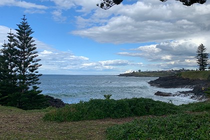 Tuesday 26 July 2022 A coastline still untouched by development.  Nice.