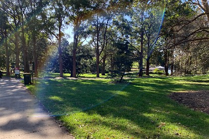 Wednesday 27 July 2022 This is the local botanical gardens of the Illawarra area; established in 1964. It was opened in September 1970