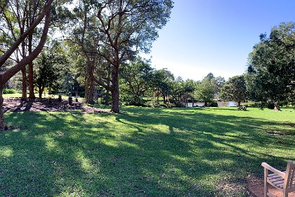 Wednesday 27 July 2022  "A creek runs through the garden and into a small lake. This creek joins Para Creek and runs into Puckeys Estate Reserve."