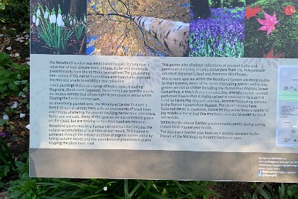 Wednesday 27 July 2022 From the text:  "The Woodland Garden was established in 1981. It comprises a collection of cool climate trees, shrubs, bulbs and perennials predominately from the northern hemisphere. The pre-existing tree canopy of the native Turpentines and Paperbarks provided the required shade to establish this collection. Initial plantings included a range of exotic trees, including Magnolia, Maple and Dogwood. These trees now form the mostly deciduous canopy that allows light to penetrate in winter whilst filtering the harsh summer sun."