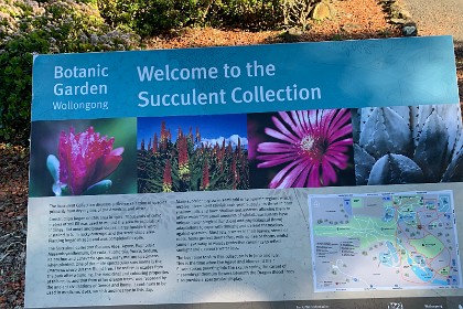 Wednesday 27 July 2022  "The Succulent Collection displays a diverse selection of species primarily from dry regions of the Americas and Africa. &nbsp;  Construction began on this area in 1982. Thousands of cubic metres of soil fill was used to mound the area incorporating inclines, flat areas and broad slopes. Large boulders were installed to form rocky outcrops and the scree slope area."