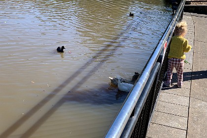 Wednesday 27 July 2022 A small kid feeds the ducks.