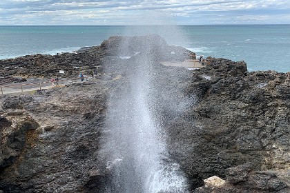 Tuesday 26 July 2022  "In 1992 seven people were killed when a freak wave sucked two Afghan families into the blowhole, a tragedy compounded five years later when two more members of one of the families died at the picturesque site."