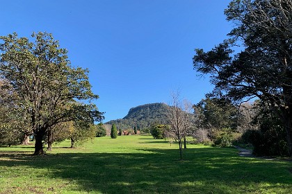 Wednesday 27 July 2022 The garden is co-located with the historic Gleniffer Brae house, used for functions and the Wollongong Conservatorium of Music. It's that building up the hill a bit.  We didn't know where we were going and initially  parked in the Conservatorium.