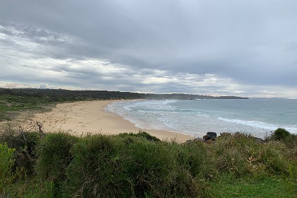 Saturday 28 May, 2022 - Bingie Bingie From the Pamphlet:   BINGIE BINGIE POINT: Cool magma Bingie Bingie Point is a site of intense interest to geologists because of the prolific and spectacular display of intrusive igneous rocks on the northern side of the point, at the north end of Bingie Beach.