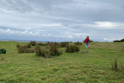 Saturday 28 May, 2022 - Bingie Bingie Jenni (sensibly) keeps walking on the grass . . .