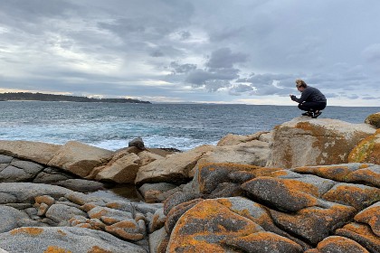 Saturday 28 May, 2022 - Bingie Bingie I yell out to a couple of women that the sea lion is here and one of them clambers up onto the rocks for a closeup. There is no way I could have got up onto these rocks but it is easy for them. Bah. Humbug.