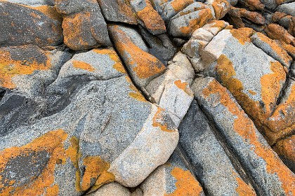 Saturday 28 May, 2022 - Bingie Bingie We see our first mixed granite/diorite rock. Diorite and granite refer to the specific percentages of silica and minerals in each kind of rock.