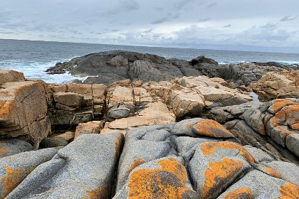 Saturday 28 May, 2022 - Bingie Bingie Ah! Here it is: the feature that we'd come to see, a mixture of the two types of rock. The light-coloured diorite appears only on the northern side of the Point.