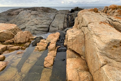 Saturday 28 May, 2022 - Bingie Bingie  "30 million years ago, basaltic magma, possibly from Gulaga, forced itself into the cracks in the rocks to form black dykes."  The diorite is an aplite and the mixture of it with the other rocks is stunning. These two completely different rocks are separated by a basaltic magma lava seam that heads towards the ocean; the rocks were probably already vertical when the lava intrusion occurred.