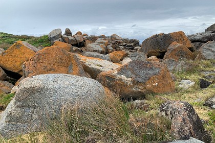 Saturday 28 May, 2022 - Bingie Bingie Now that I'm closer I can see that these rocks are granite but the path is incredibly difficult for me with my wonky left ankle and poor balance.