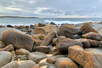 Saturday 28 May, 2022 - Bingie Bingie I manage my way through this boulder field without falling over or twisting something.