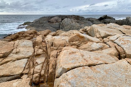 Saturday 28 May, 2022 - Bingie Bingie  "Aplite is any uniformly fine-grained (less than 2 mm), light-coloured, intrusive igneous rock that has a characteristic granular texture. Aplites can occur within granitic intrusions where it forms a narrow intrusive rock body within other rocks."