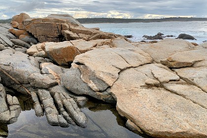 Saturday 28 May, 2022 - Bingie Bingie "Cycles of sedimentation and volcanism formed new continental crust, forming eastern Australia. There was a major orogeny  [mountain building]  event in eastern Australia from 387 to 360 Ma. The continent was affected by glaciation around 330 Ma."