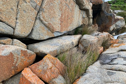 Saturday 28 May, 2022 - Bingie Bingie I missed it at the time but, to the rear,  there is a huge very dark rock joined to the granite beneath it.  I must investigate this next time we visit.