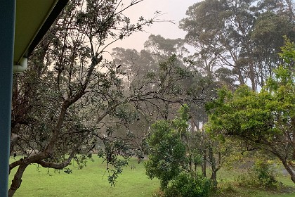 Saturday 28 May, 2022 - Depot Beach It rains a bit.