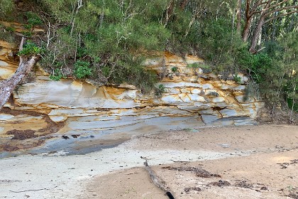 Sunday 29 May, 2022 - Wasp Head, South Durras    You'll need your camera as you encounter the honeycomb weathering of the eroded sandstone on the northern side of the head, that from afar looks like a discarded fisherman's net, or in some places an elaborate spider's web.