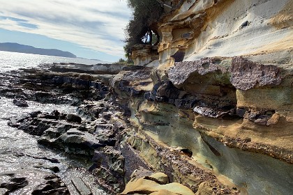 Sunday 29 May, 2022 - Wasp Head South Durras  This is the last hurrah of the Sydney Basin sandstone; it ends here. It's interesting to see how other rocks have embedded themselves into the sandstone. There is also a small seam in the right, lower side of the picture with sea shells in it.