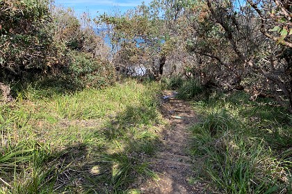 Sunday 29 May, 2022 - Myrtle Beach Down the steps we go to get to the beach. Pools of water accumulate in the steps. Going down these steps is the worst part of the weekend for me. My left ankle screams for mercy and now, at 81 years old, I'm quite wobbly on my feet.