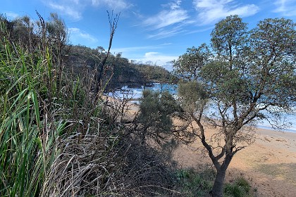 Sunday 29 May, 2022 - Myrtle Beach    Discover the breathtaking sandstone cliffs of the Sydney Basin come to an end and rise up to meet the much older Wagonga Ordovician rocks of the Lachlan Fold Belt, which continue south.