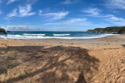 Sunday 29 May, 2022 - Myrtle Beach    This rock was laid down during the Permian and Triassic periods, between 300 and 230 million years ago, while the older Wagonga Ordovician beds were created 500 to 450 million years ago.