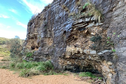 Sunday 29 May, 2022 - Myrtle Beach  The cliff face on the Northern part of the beach is full of layers millions of years old, younger than 350 million years at least. This is another illustration of the two worlds colliding.