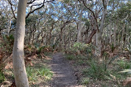 Sunday 29 May, 2022 - Myrtle Beach  We're back at the top. Now all we need is for our car to get bogged climbing up the wet, rutted section. I must confess to being a little worried because the other vehicles parked here are all four-wheel drive.