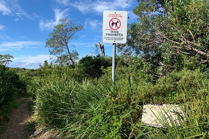 Sunday 29 May, 2022 - Durras Beach  On the way back to our cabin we detour via Durras beach and see this sign banning dogs.