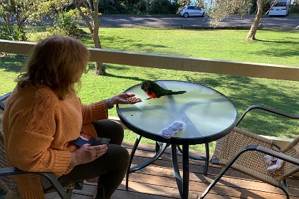 Sunday 29 May, 2022  Hand feeding the female.