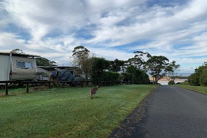 Sunday 29 May, 2022 - North Durras It's Sunday morning and we decide to take a short  trip to North Durras which is the next beach South from Depot Beach where we are staying.