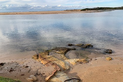 Sunday 29 May, 2022 - North Durras This lake is tidal and the water is reasonably clear. The sand on the beach is made from the worn away sandstone of the Sydney Basin hence its yellow colour.