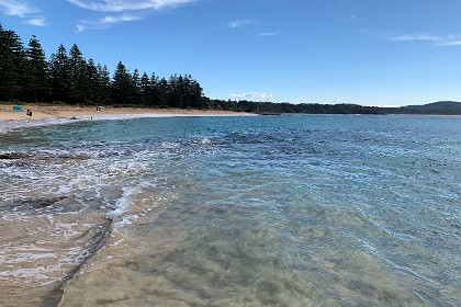 Sunday 29 May, 2022 - Wasp Head South Durras    Dropstones and pools of sedimentary conglomerate rock, carried to the area in melted water from west to east as the earth was emerging from an ancient ice age, are also visible and contribute to the richness of this site.