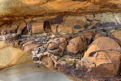 Sunday 29 May, 2022 - Wasp Head South Durras  These are  ironstone iron-rich sediments that have formed into a box-like pattern. In a small seam that runs above the lacework, you can see the sea shells embedded in the rocks.