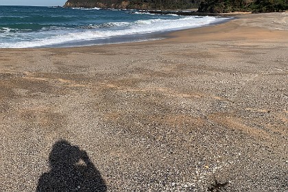 Sunday 29 May, 2022 - Myrtle Beach There are lots of dead sea shells here as well and I wonder (because sea shells are not a feature of beaches to the north) if these sea shells were once embedded within the rock in the cliffs behind us.