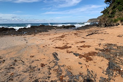 Sunday 29 May, 2022 - Myrtle Beach    "the cliffs you see at the southern end of the beach, are from the Ordovician period."