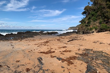 Sunday 29 May, 2022 - Myrtle Beach  "During the Ordovician period, a rich variety of marine life flourished in the vast seas and the first primitive plants began to appear on land — before the second largest mass extinction of all time ended the period."