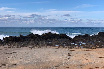 Sunday 29 May, 2022 - Myrtle Beach   "The Ordovician Period lasted almost 45 million years, beginning 488.3 million years ago and ending 443.7 Mya years ago."