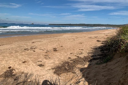 Sunday 29 May, 2022 - Durras Beach  That's Wasp Island just off the headland where we were this morning.