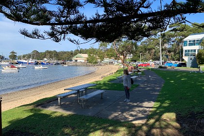 Thursday 26 May, 2022 A small beach is bordered by some pleasant grasslands with Norfolk Island Pines.