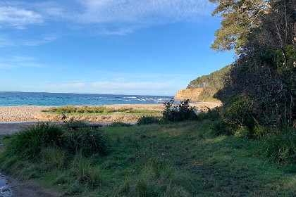 Thursday 26 May, 2022 It's about 15:00 and nearly winter; we go down the slippery steps to Depot Beach.