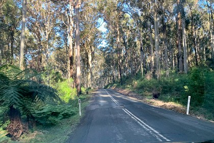 Thursday 26 May, 2022 The road into Depot Beach is in bad shape after this year's continuous, heavy rains.