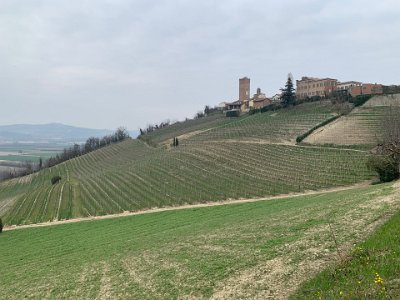 Monday, 13 March 2023 The village of Barbaresco