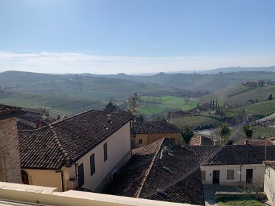 Sunday, 12 March 2023 Vineyards, vineyards everywhere...the area is renowned for fine wines including Barbera, Dolcetto d'Alba, Barbaresco & Moscato d'Asti