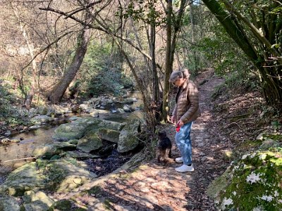 Sunday, 5 March 2023 Walking with Harry along La Brague about a 10 minute drive from Sussie's home.  It's one a Harry's favourite spots.