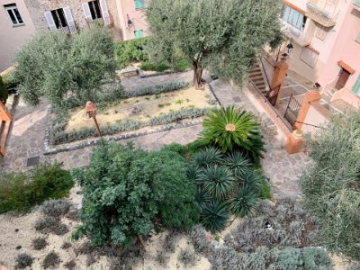 Thursday, 9 March 2023 I'd never noticed this garden before...it belongs to the church, not that the kitty cat snuggled in the rosemary (lower right) cares.