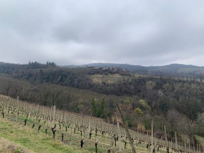 Tuesday, 14 March 2023 Sussie let Siri choose our trip towards Savona & the autoroute...ha!  Challenging, narrow farm roads & stunning views.  This is Trezzo Tinella.